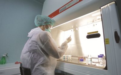 Anunţ rezultate licitaţie proiecte cercetare 2010